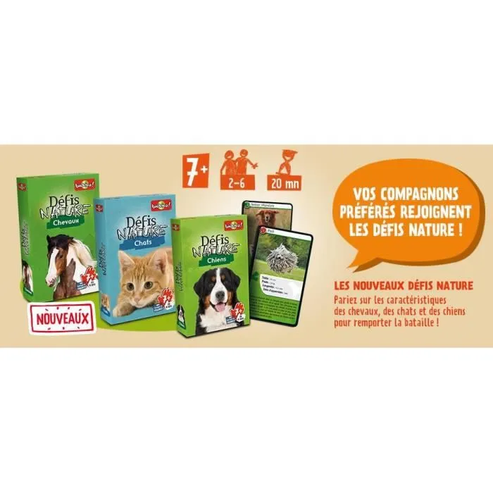Defis Nature Chevaux le jeu-2