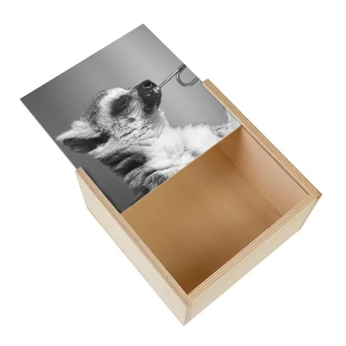 Boite Coffret en Bois - Lémurien Jouant de la Trompette Mignon Drôle Noir et Blanc  (11 x 11 x 3,5 cm)-0