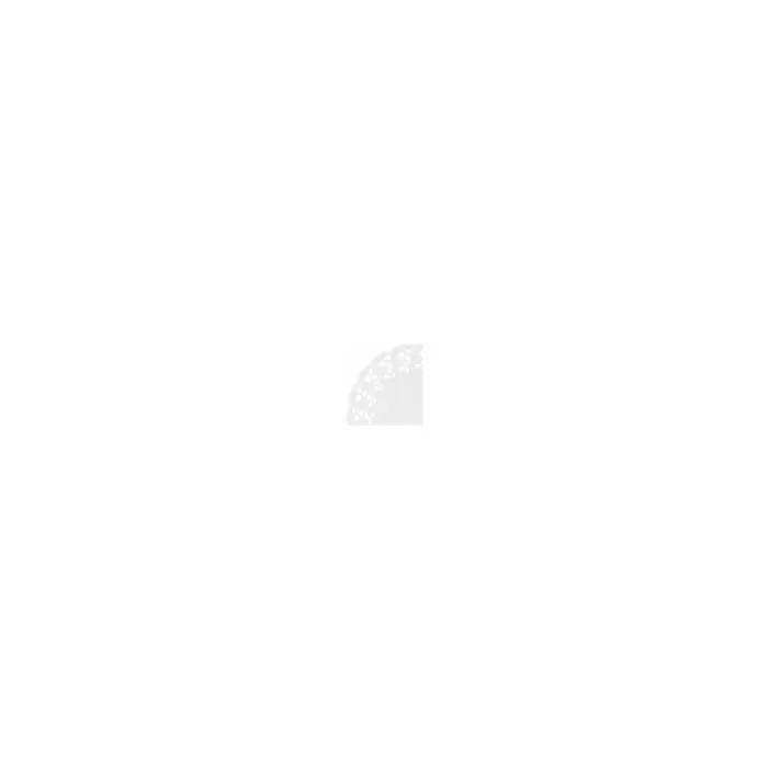 GDP - Napperons dentelles rondes ajourés Ø 11,5cm blanc - 250 pcs Blanc-1