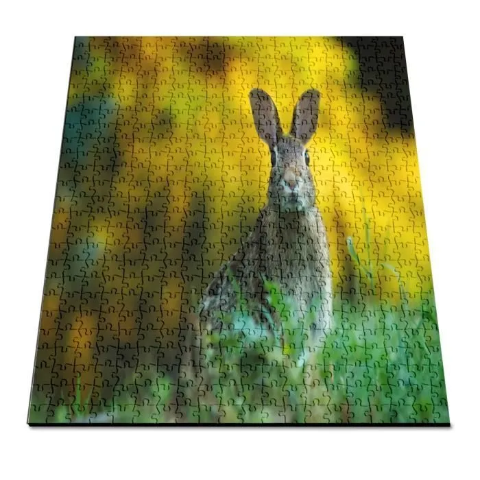 Puzzle Classique 500 pièces Lapin Mignon Dans Une Prairie Nature Photo Animaux Sauvages-2