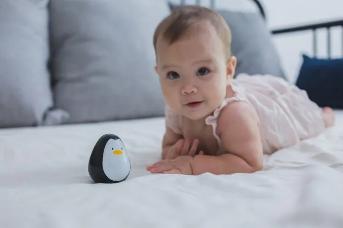 Jouet - PLAN TOYS - Pingouin dandinant - Bois - Noir et blanc - 0 mois - Naissance-3