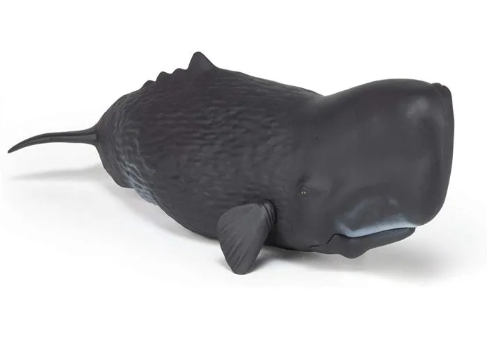 Papo - Figurine Cachalot-0