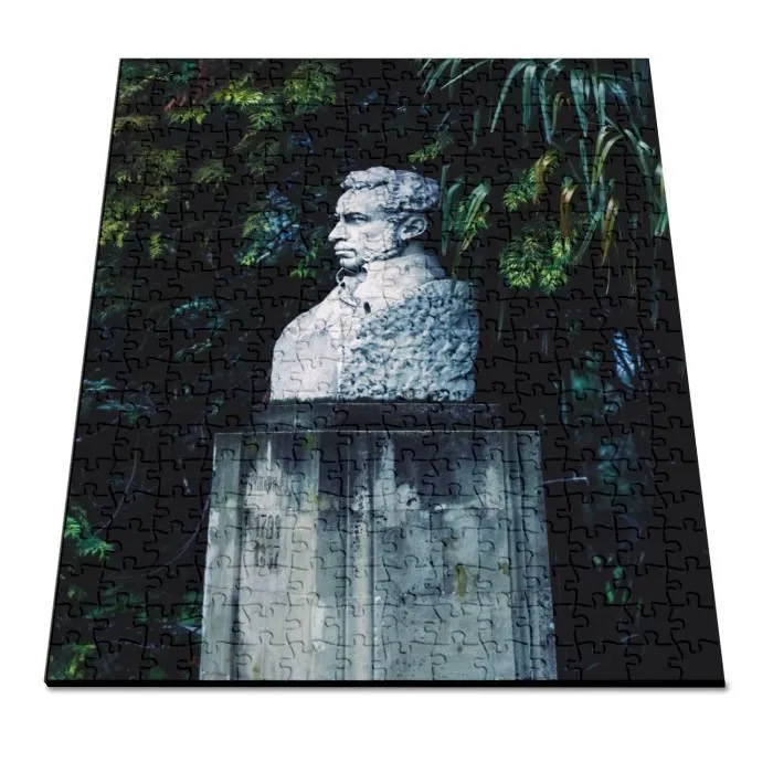 Puzzle Classique 280 pièces Buste d'un Homme Au Milieu de Arbres-2