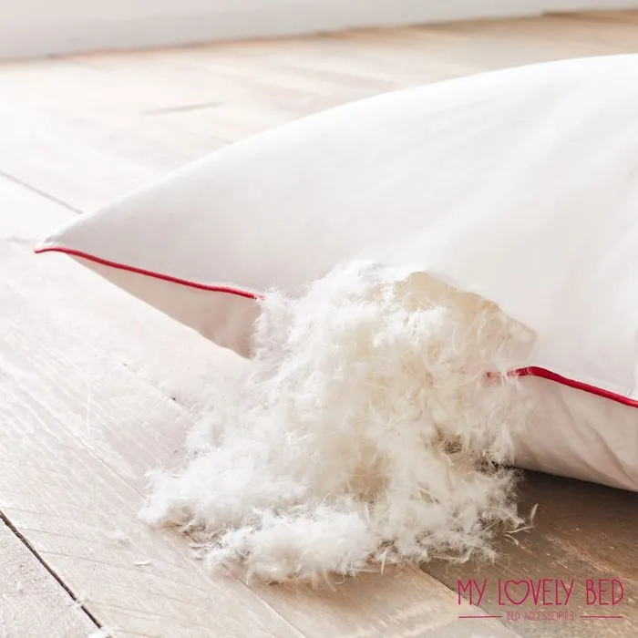 My Lovely Bed - Oreiller 50x70 cm Naturel - Garnissage Plume et Duvet - Enveloppe 100% Coton - Gonflant et Moelleux - Haute Qualité-4