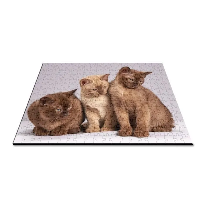 Puzzle Classique - FABULOUS - Bebe Chats Siamois Persan Poils Longs - 280 Pièces - Adulte - Mixte-2
