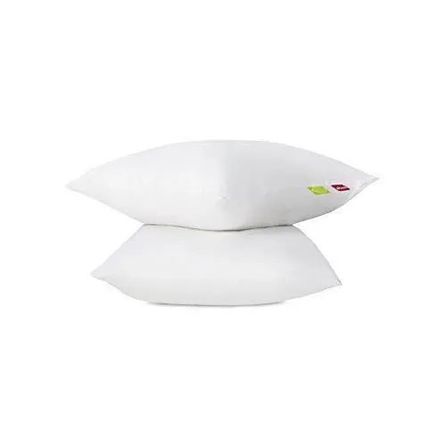 Oreiller - Abeil - Lot de 2 - Coton Bio - 60 x 60 cm - Garnissage Cyclafill-0