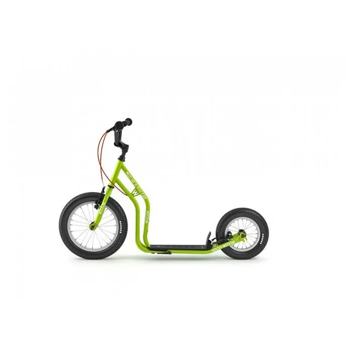 Trottinette Wzoom Vert-1