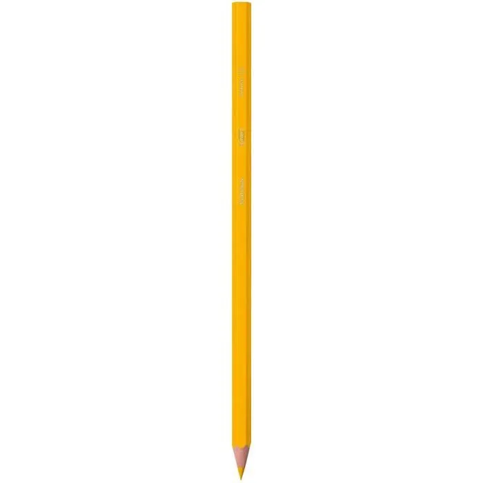 Bic Kids Crayons de couleur Evolution Couleurs assorties (Pack de 288) - 907901-2