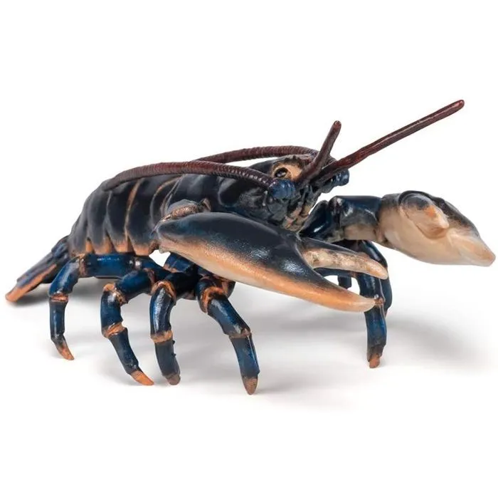 Aliment - Homard - Mixte - Enfant - A partir de 3 ans - Noir-2