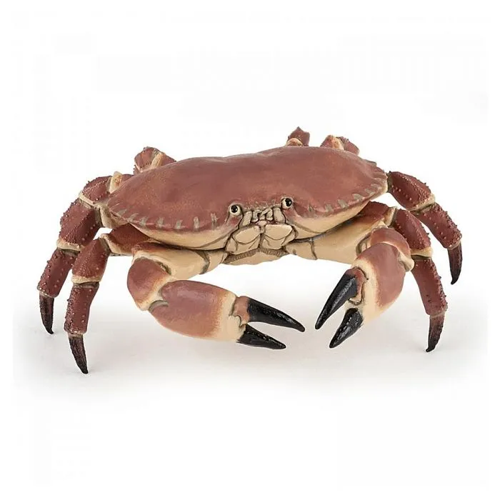 Figurine - PAPO - Crabe - Mixte - Coloris Unique - Intérieur-4