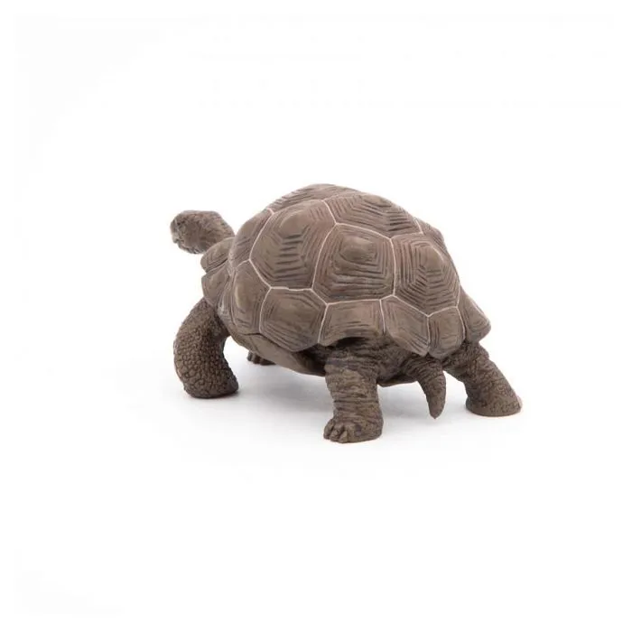 Figurine Tortue des Galapagos - Papo - Collection Vie Sauvage - Jouet pour Enfant de 3 à 10 ans-1
