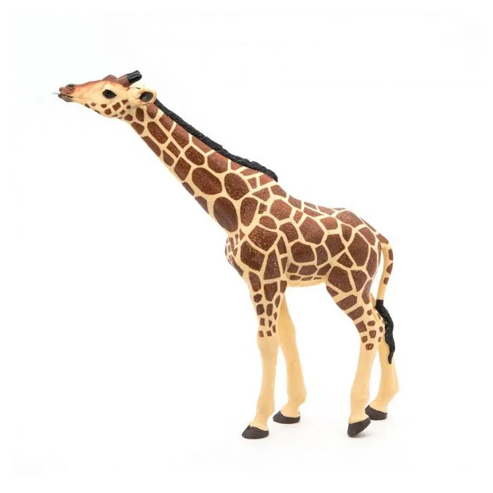 Papo - Figurine Girafe tête levée-4