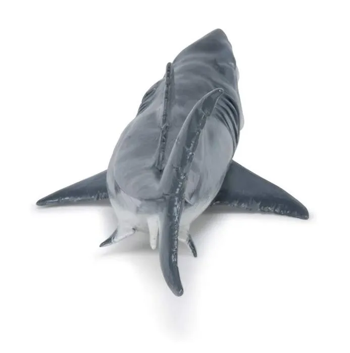 Figurine préhistorique : Megalodon-5