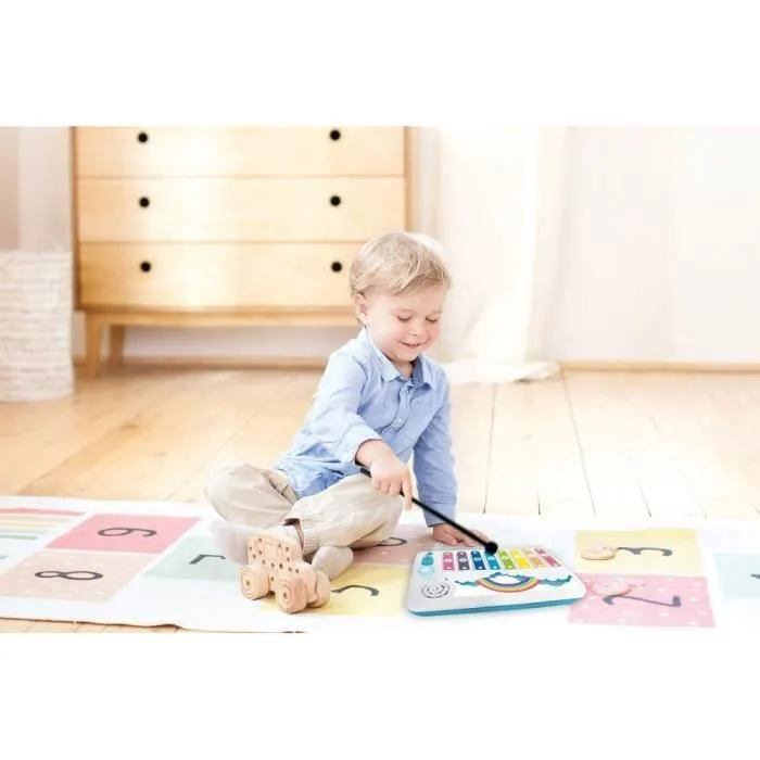 XYLO-FUN Xylophone avec Apprentissage Lumineux de la Musique-2
