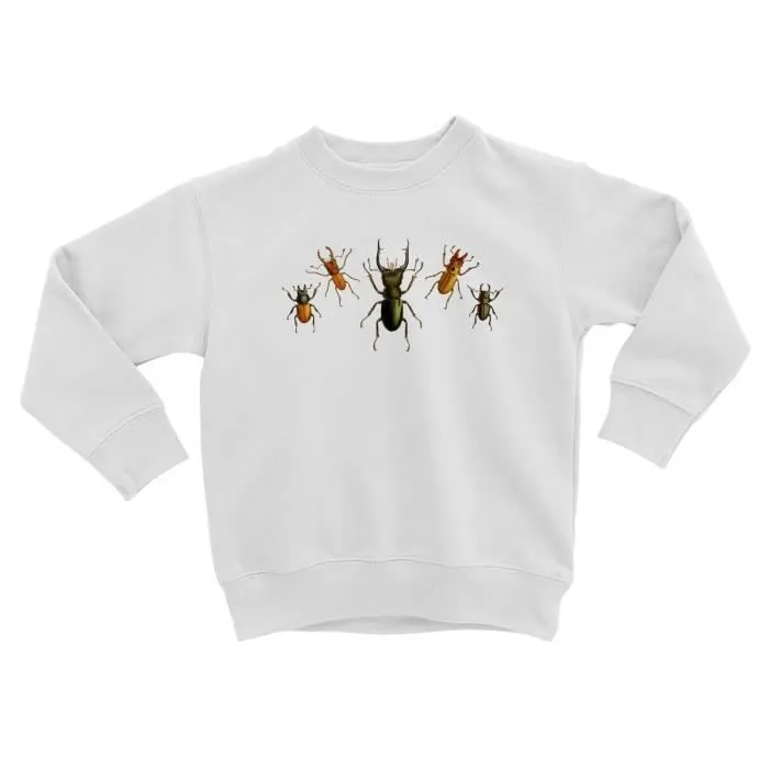 Sweatshirt Enfant Scarabées Planches Insectes Biologie Illustration Ancienne-0