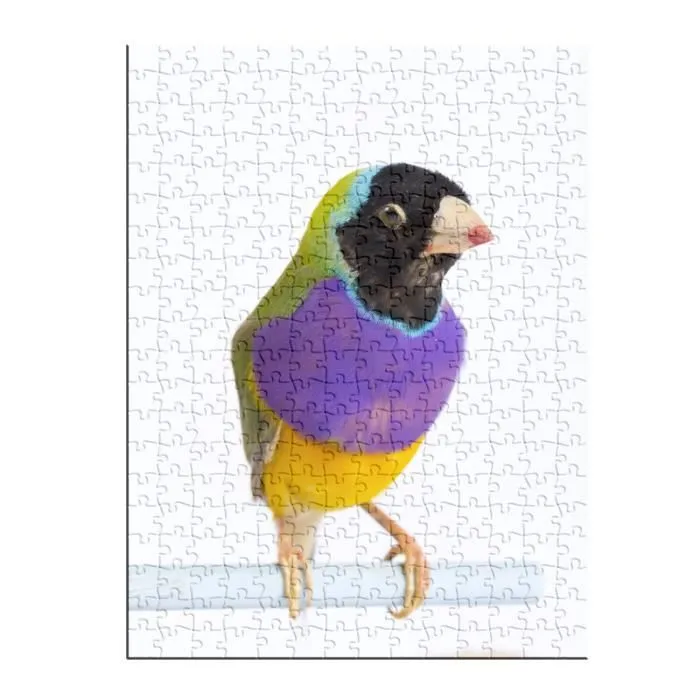 Puzzle Classique - FABULOUS - Oiseau Exotique Gouldian Finch - 280 Pièces - Adulte - Intérieur-1