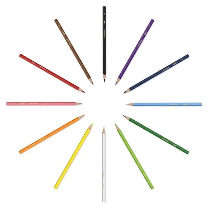 BIC Kids Aquacouleur Crayons de Couleur Aquarellables pour Effet Peinture - Coloris Assortis, Etui Carton de 12-2