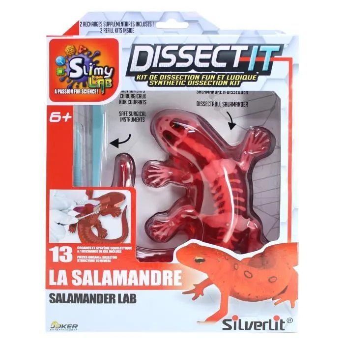 DISSECT-IT - Salamandre en slime à disséquer