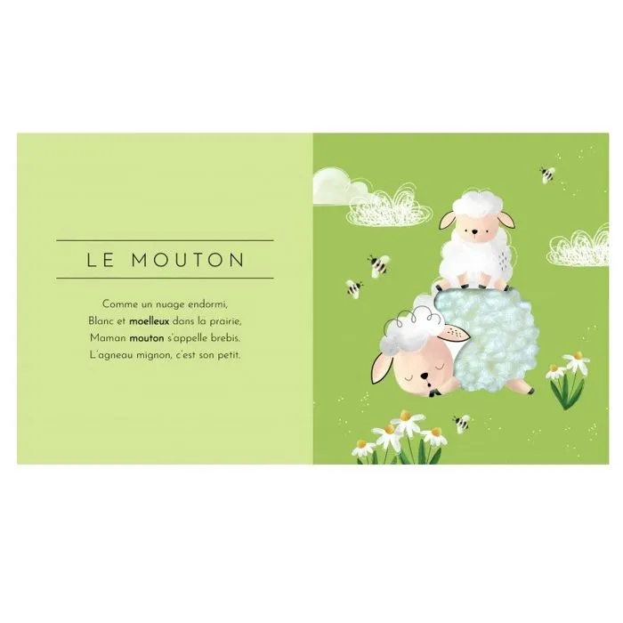 TOUCHE A TOUT ! - LES ANIMAUX (grand format)-1