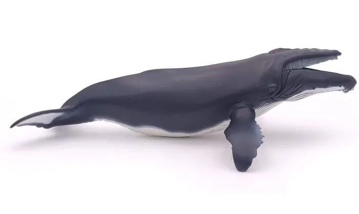 Figurine Baleine à bosse - PAPO - L'UNIVERS MARIN - Pour Enfant - Intérieur-2