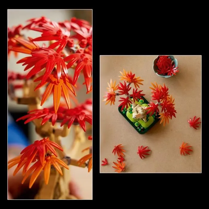LEGO Botanicals 10348 Bonsaï d’Érable Rouge du Japon - Kit de Construction pour Adulte-3